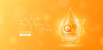 Understanding Coenzyme Q10